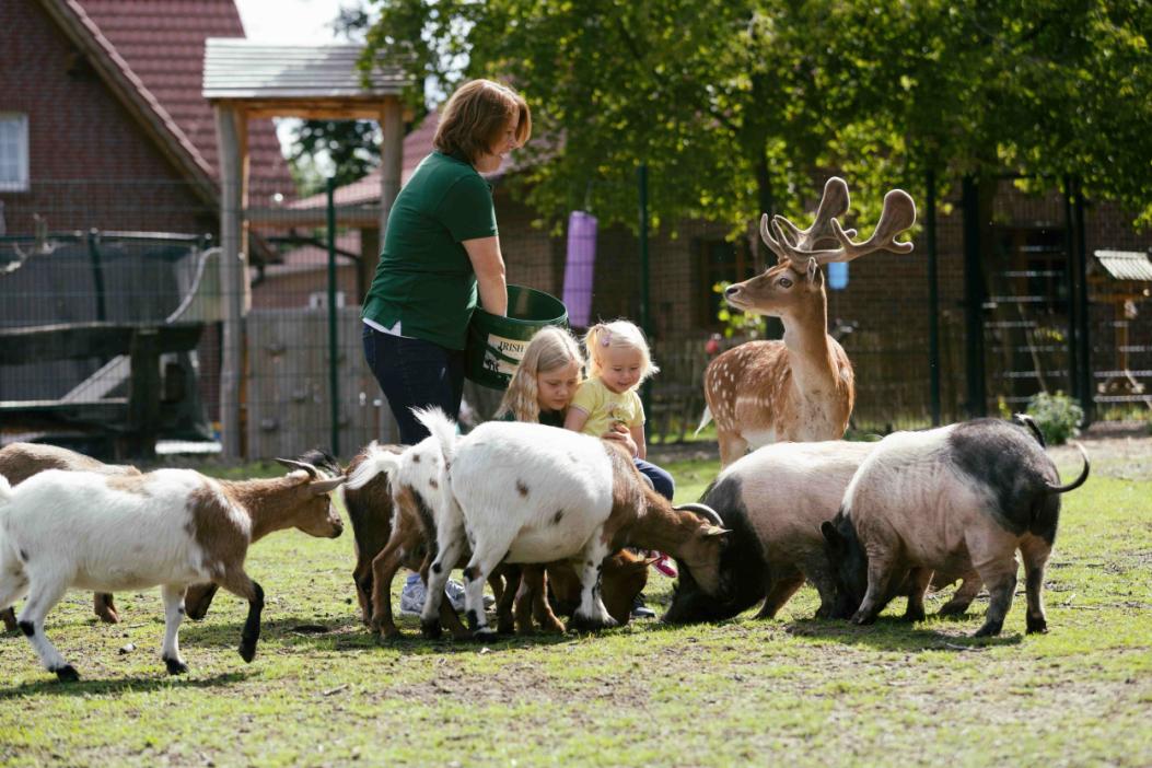 Familienhof Brüning