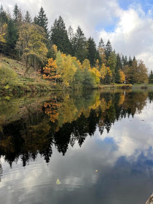Familiennest Altenau