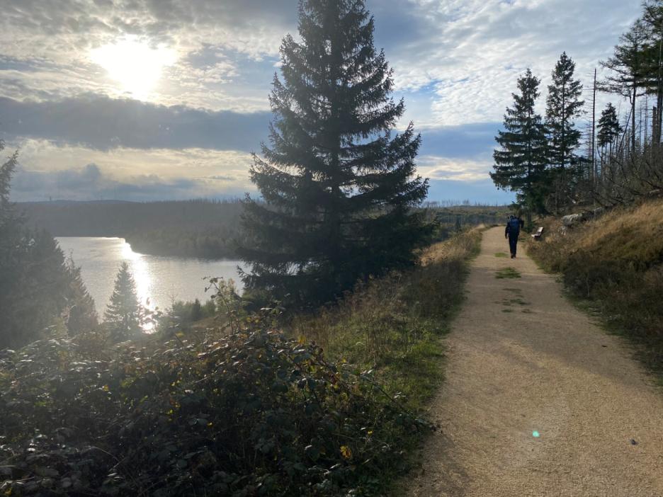 Familiennest Altenau