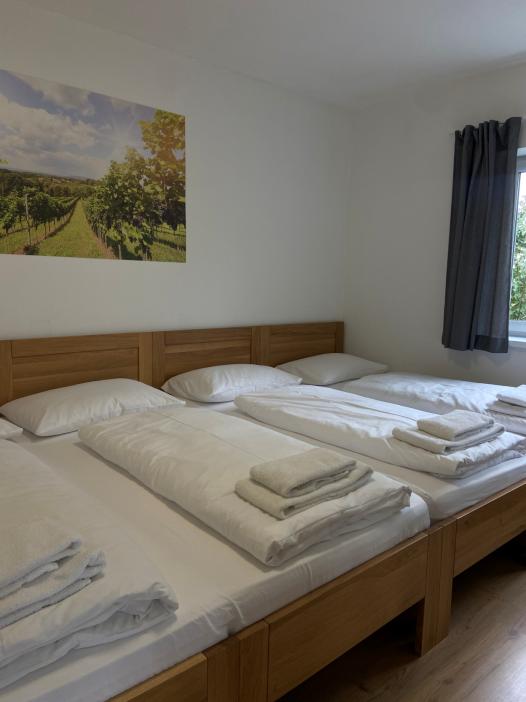 Family XL Sonnendorf