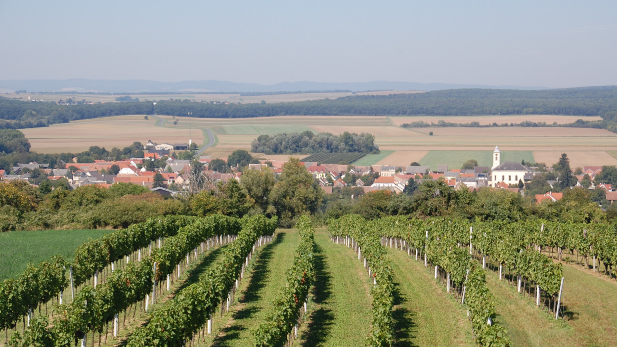 Family XL Sonnendorf